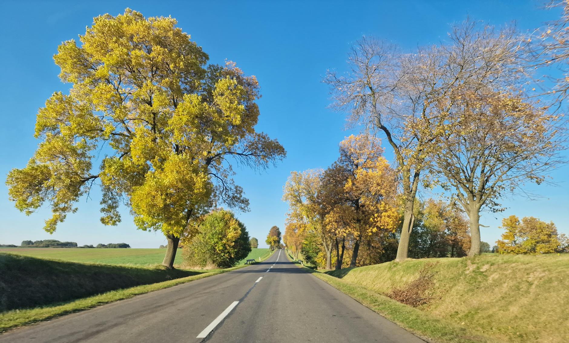 Oferty pracy w powiecie szamotulskim - kandydaci przygotowujący się do rozmów o pracę w Obrzycko